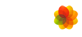 APN